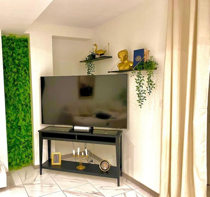 Toulouse Vaste Appartement Tres Lumineux エクステリア 写真